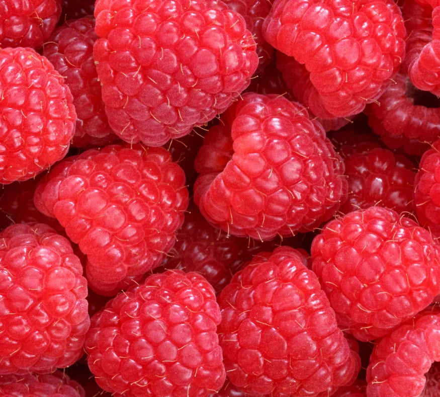 Red Raspberry
