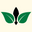 logo of Saint James Iced Tea Canada